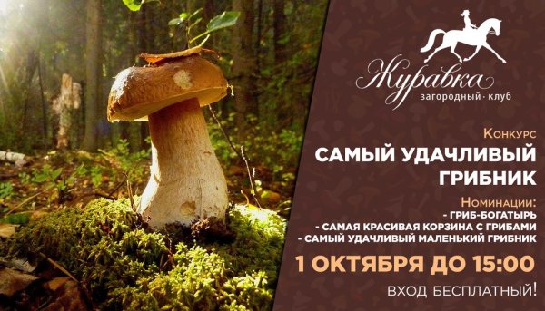 Диплом грибника шуточные