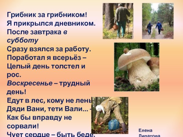 День грибника