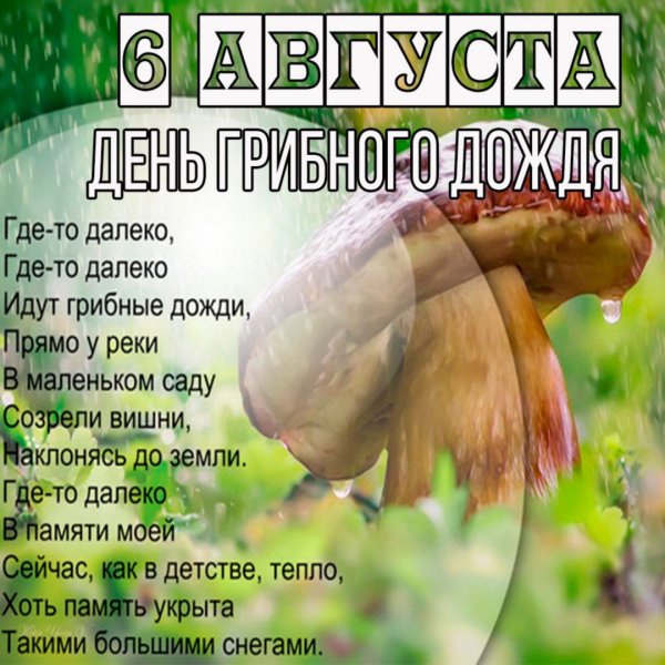 День грибного дождя 6 августа