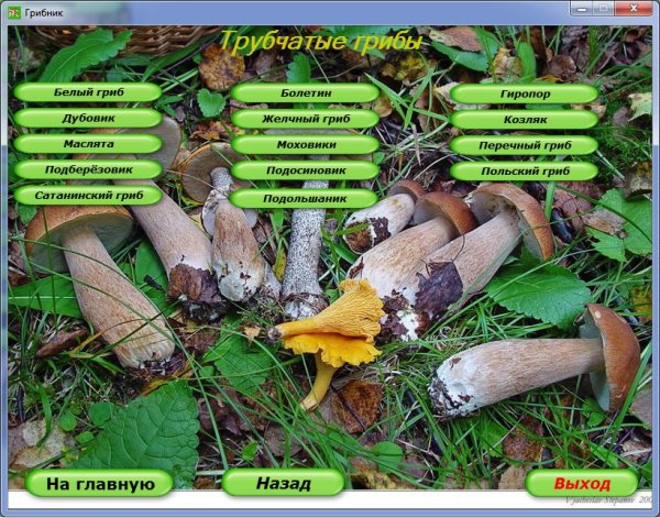 Диск грибник