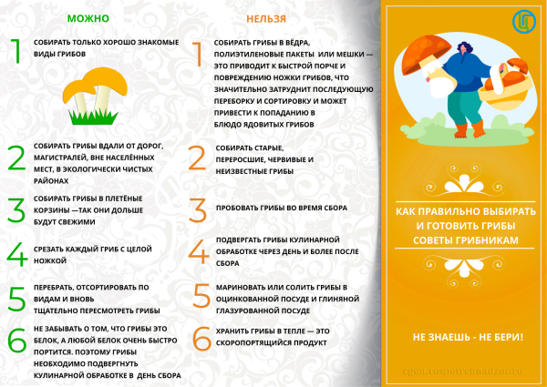 Памятка правильный сбор грибов