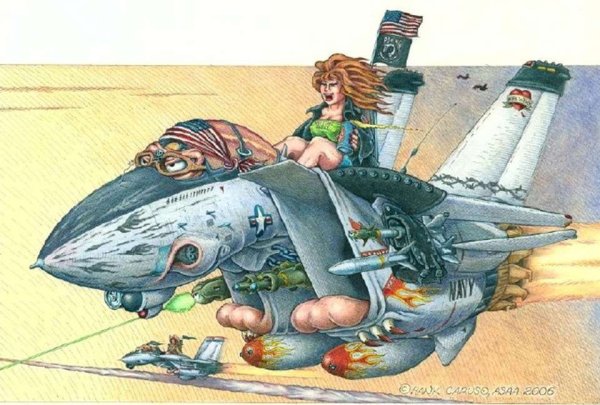 Авиационные карикатуры