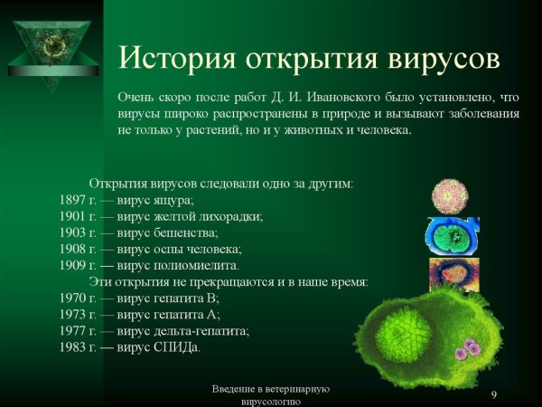 История откритимя вирус