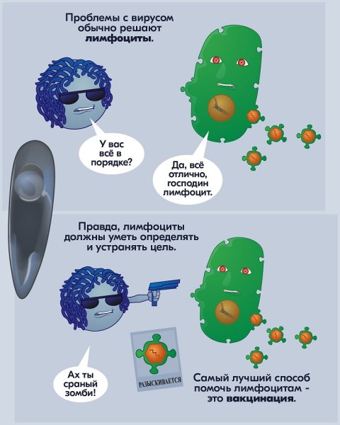 Вирус прикол