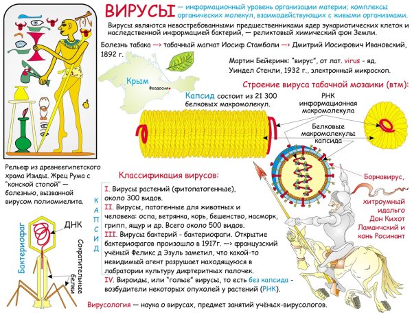 Опорный конспект биология 10 класс вирусы
