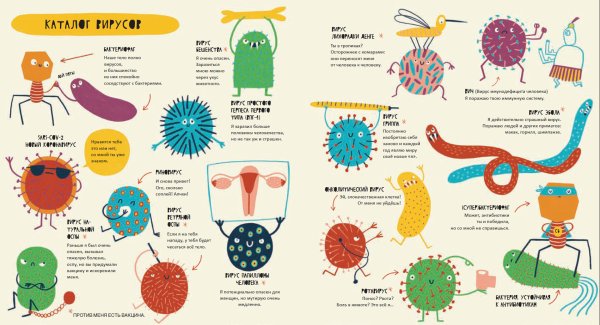 "Бактерии и вирусы в жизни человека"