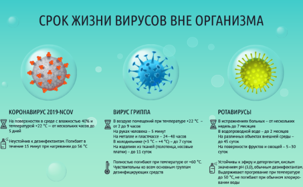 Вирусы гриппа живут в окружающей среде