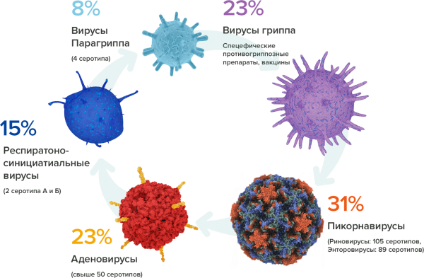 Вирусные заболевания коронавирус