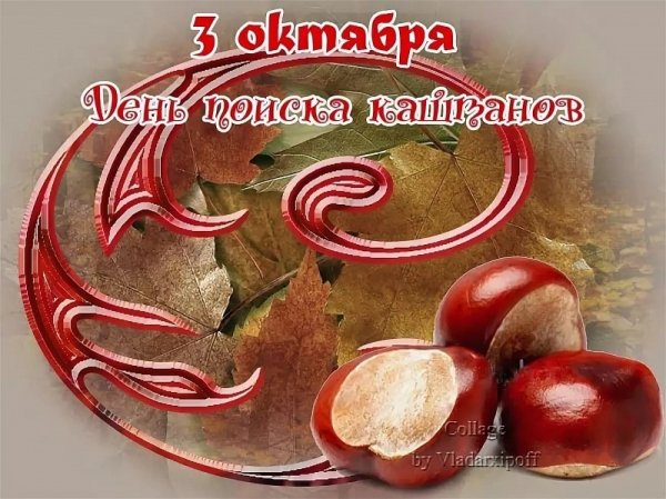 День поиска каштанов 3 октября