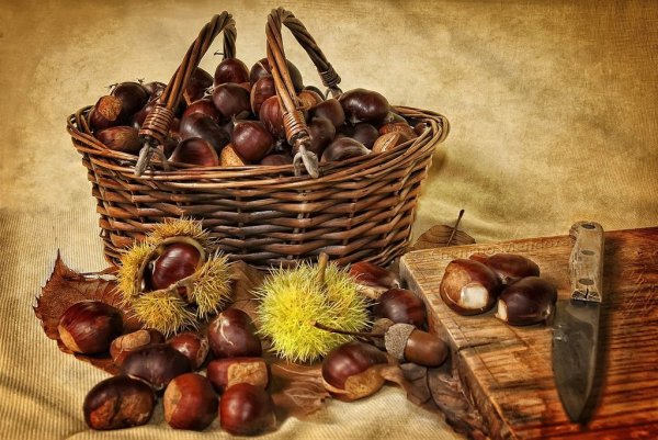Собирать каштаны