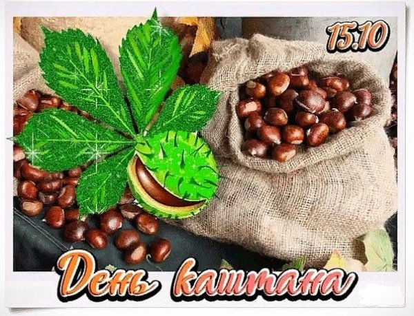 С днем праздника каштана