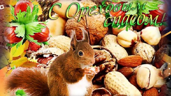 С ореховым Спасом гифки