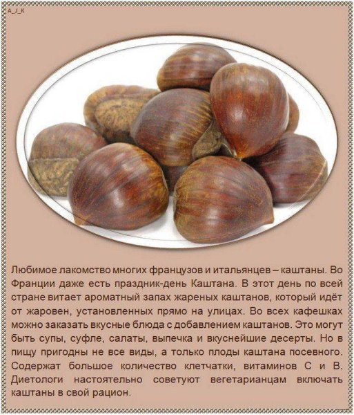 Самые полезные орехи