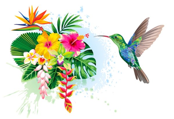 Тропический орнамент Колибри с цветами экзотика