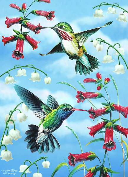 Бабочки и птички