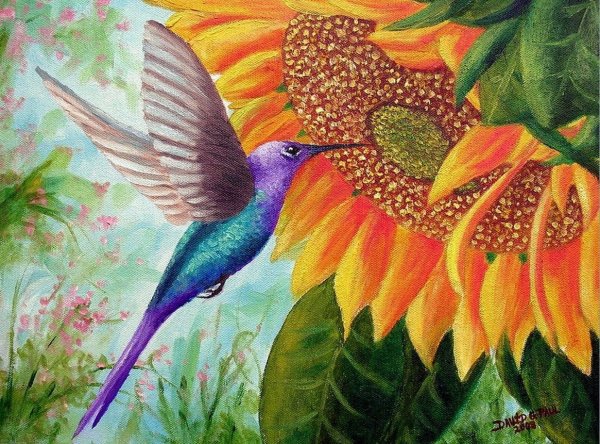 Колибри солнце арт