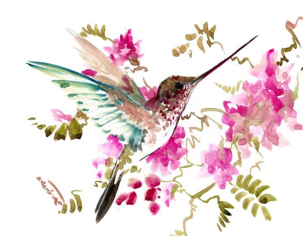 Яркие Акварельные цветы и птицы