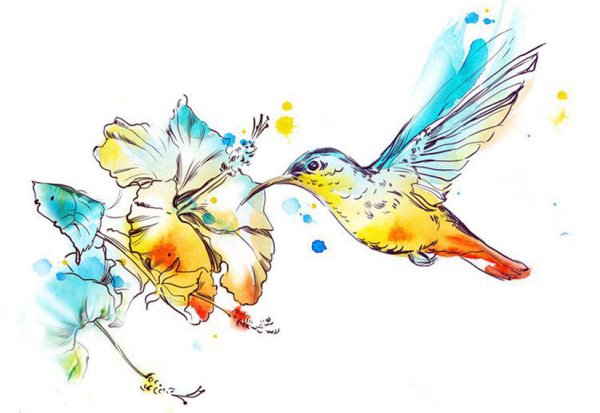 Акварельные птички на белом фоне