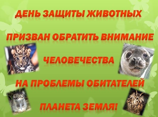 День защиты животных