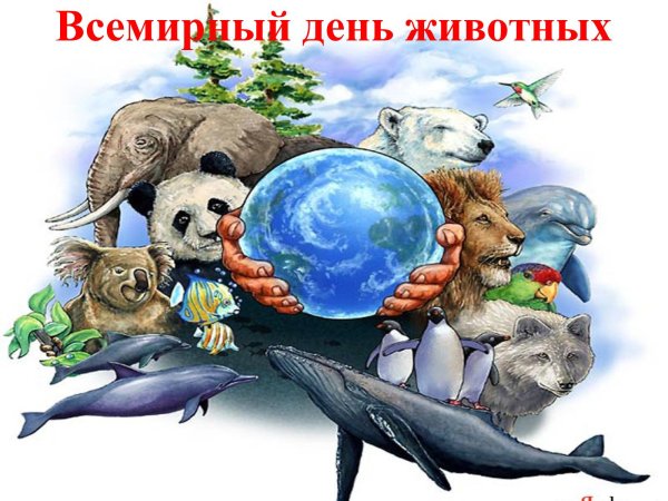 Международный день защиты животных