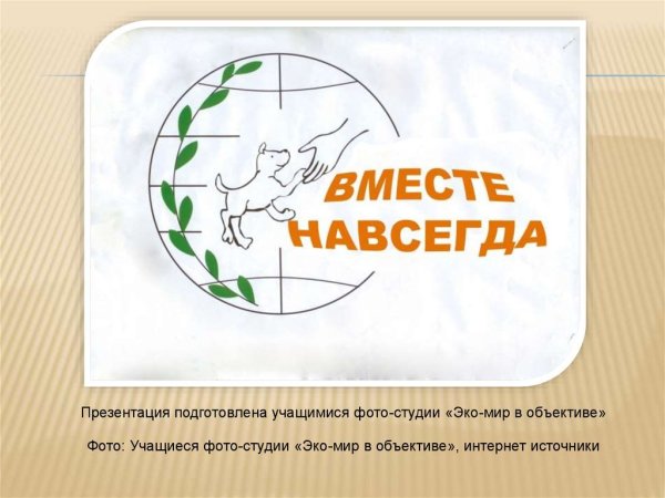 Защита животных