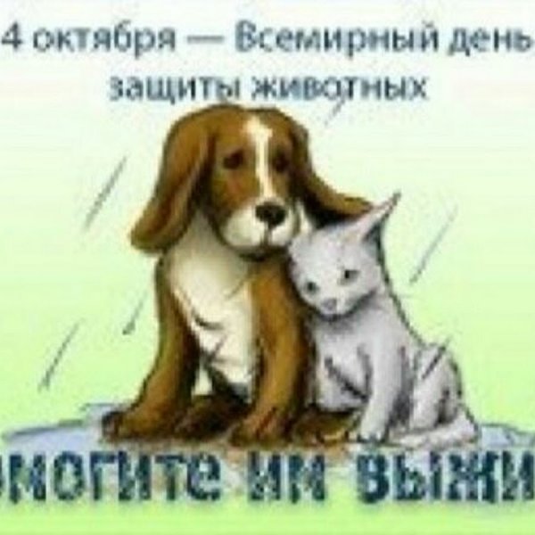 4 Октября Всемирный день защиты животных
