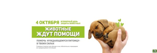 Международный день животных