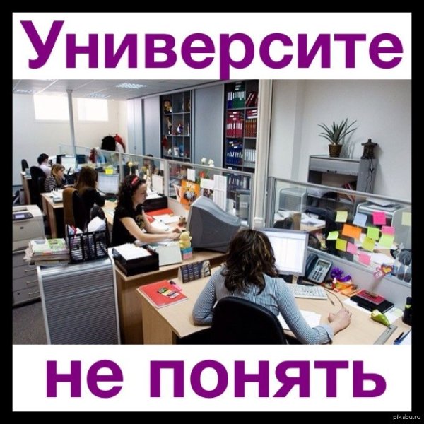 Юмор про офисных работников