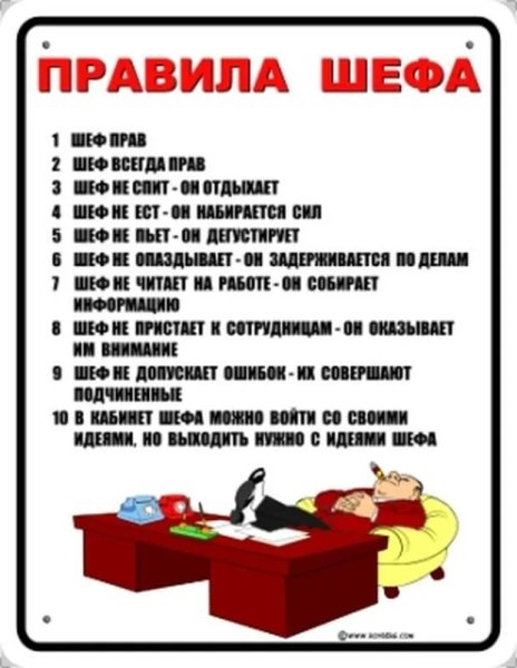 Правила шефа прикольные