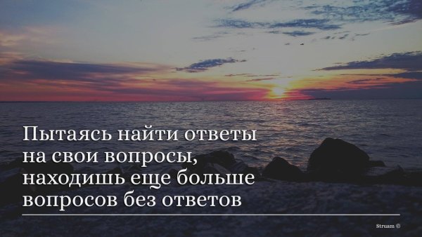 Цитаты про вопросы