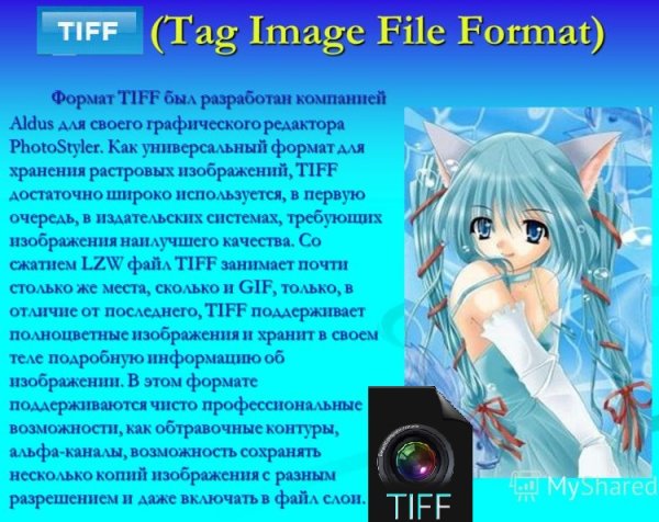 День незаданных вопросов