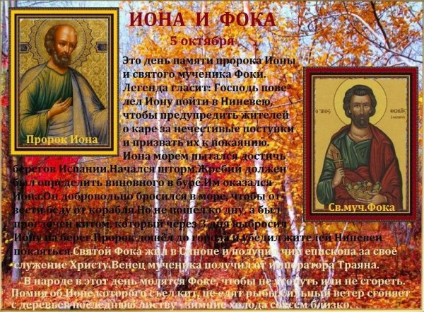 Иона и ФОКА (Листопадная)