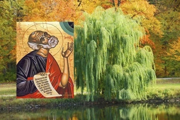 5 Октября Иона и ФОКА