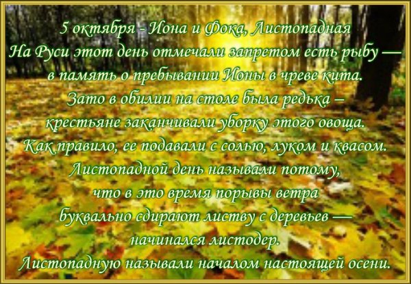 5 Октября Иона и ФОКА