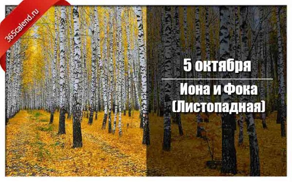 Иона и ФОКА Листопадная картинки