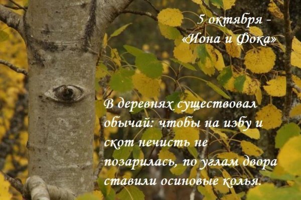 Иона и ФОКА Листопадная 5 октября