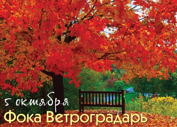 Иона и ФОКА Листопадная 5 октября