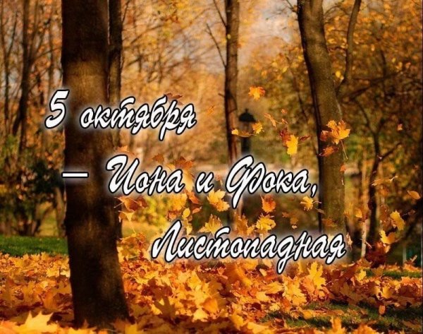 5 Октября ФОКА Ветроградарь (Иона и ФОКА, Листопадная)