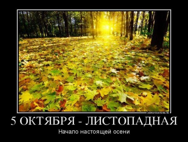 Иона и ФОКА (Листопадная)