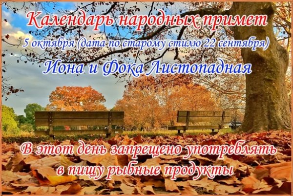 Иона и ФОКА Листопадная 5 октября