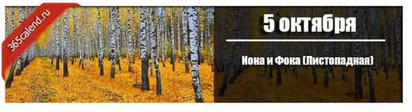 Иона и ФОКА (Листопадная)