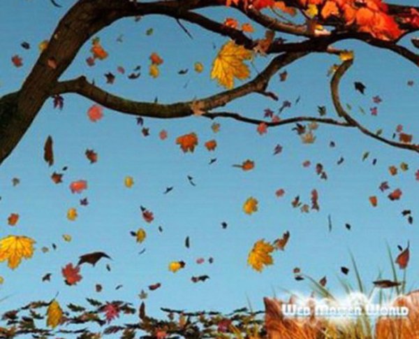 Иона и ФОКА Листопадная 5 октября картинки