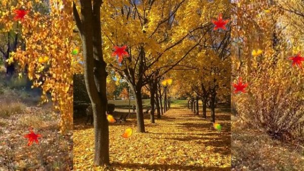 ФОКА Ветроградарь (Иона и ФОКА, Листопадная)