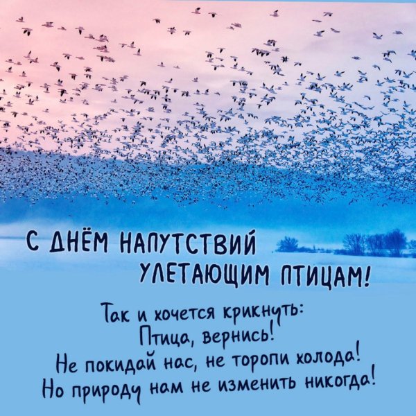 День напутствий улетающим птицам 5 октября