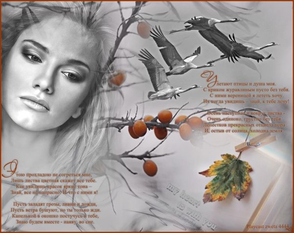 Стихотворение птицы улетают