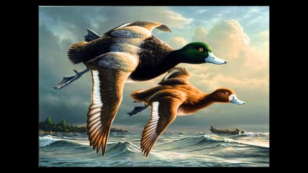 Открытка Всемирный день мигрирующих птиц