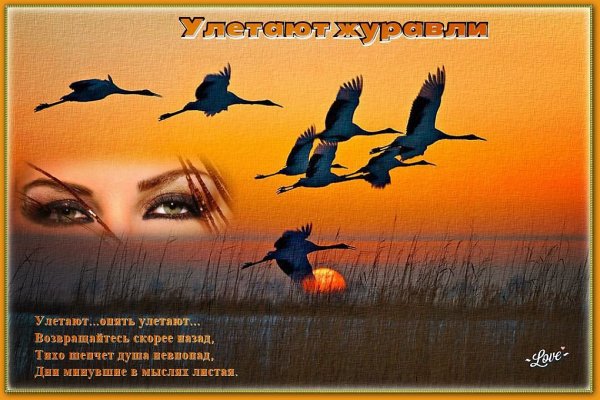 Евгений Войнов Журавли улетают