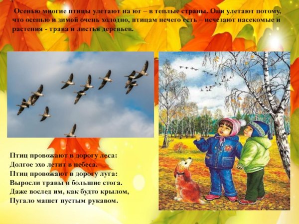 Осенние приметы птицы улетают