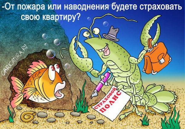Страхование карикатура