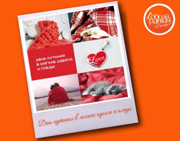 День кутания в пледы